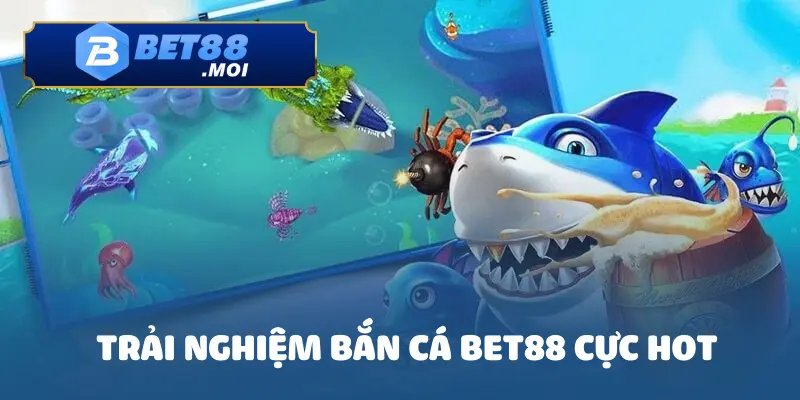 Bet88 31 bet88
